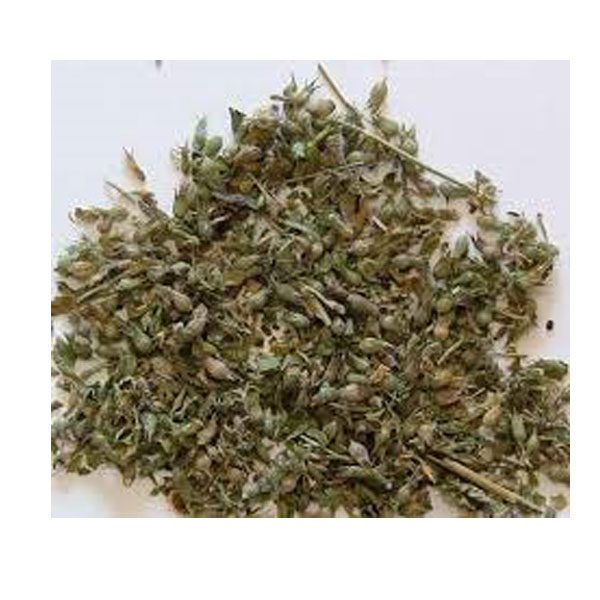 Driedherbsonline Catnip is an herb well known for its popularity and dreamy effects on cats.